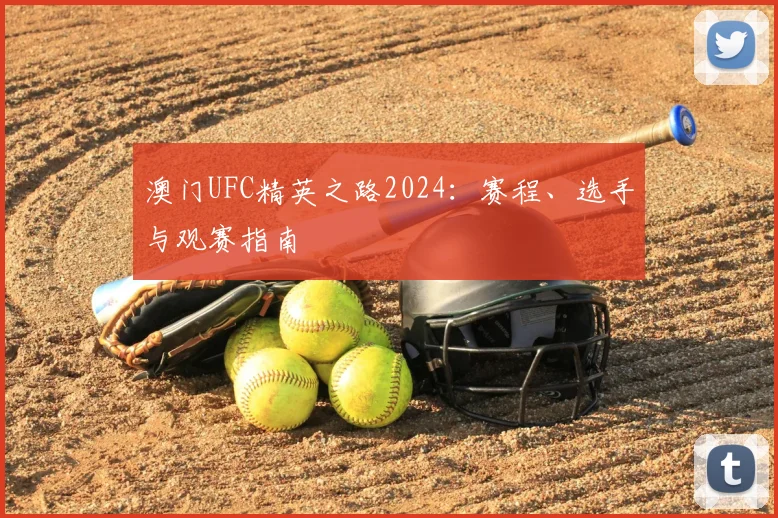 澳门UFC精英之路2024:赛程、选手与观赛指南
