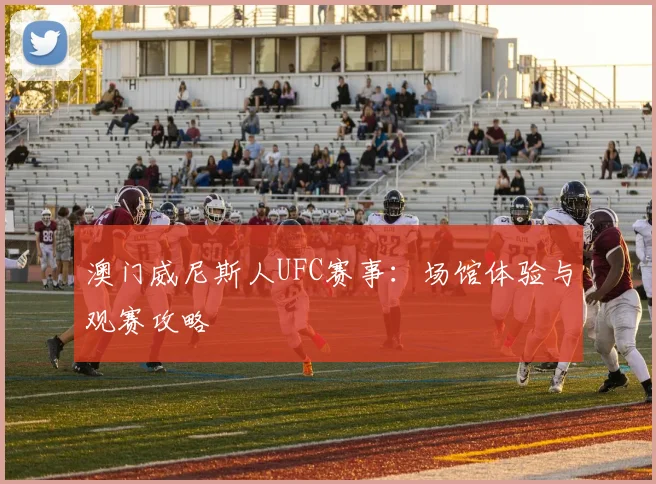 澳门威尼斯人UFC赛事：场馆体验与观赛攻略