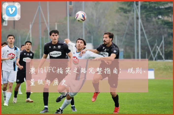 澳门UFC精英之路完整指南：规则、量级与历史
