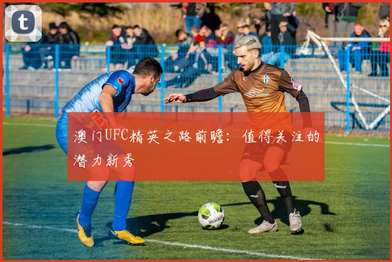 澳门UFC精英之路前瞻：值得关注的潜力新秀