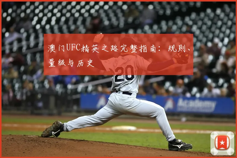 澳门UFC精英之路完整指南：规则、量级与历史