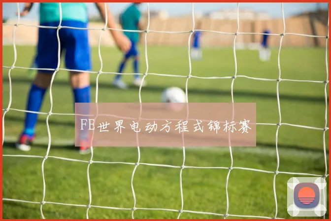 FE世界电动方程式锦标赛