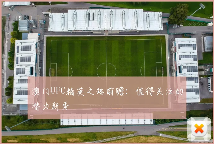澳门UFC精英之路前瞻：值得关注的潜力新秀